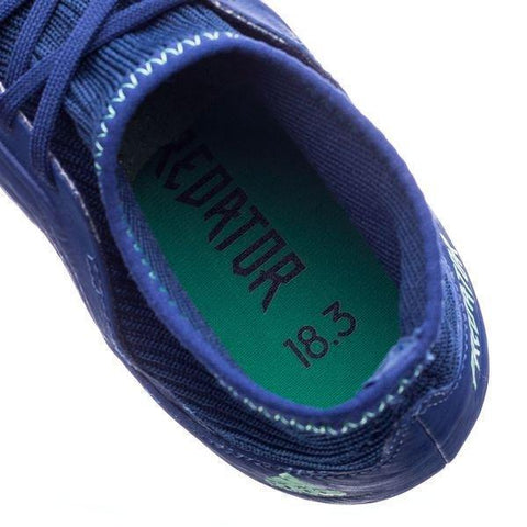 Image of Adidas Predator 18.3 AG/FG Soccer Cleats Royal Blue White Green - KicksNatics