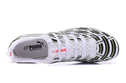 Image of PUMA evoPOWER Vigor 1 FG Soccer Cleats White Black Green - KicksNatics